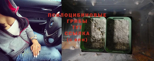 бошки Михайлов